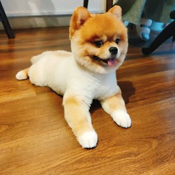 TIP For MOMO ( ไว้เป็นค่าขนมของเล่นค๊าบบ)