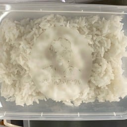 ข้าวเปล่าใส่กล่อง