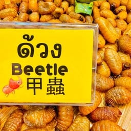 ด้วง มะพร้าวสาคู