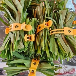 ผักบุ้ง