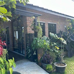 บ้านแม่กับป๋า Organic Veggies (Monkey Farm) สันกำแพง