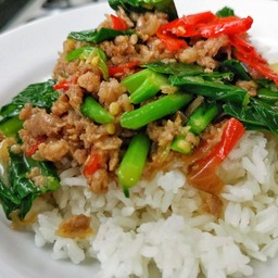 ข้าวหมูผัดคะน้าพริกสด