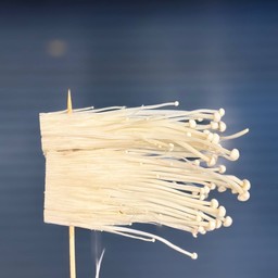 เห็ดเข็มทอง