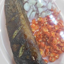 ปลาดุกร้า