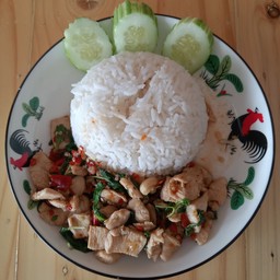 ข้าวผัดกระเพราไก่