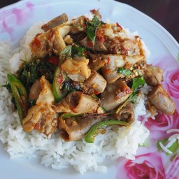 กระเพราไส้อ่อน