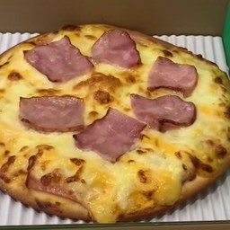 Ham and sausage cheese pizza