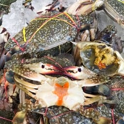 เพิ่มปูม้าสด 2 ตัว