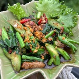 More Mountain Doi Chang -