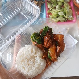 ข้าวกะเพราเนื้อตุ๋น+ไข่ดาว