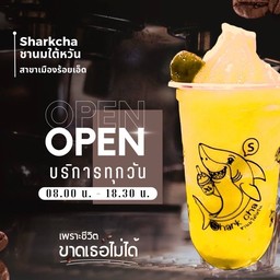 เสาวรสโซดา ปั่น