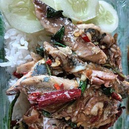 ข้าวกระเพราปลาทู