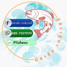 ปลาส้มเดลิเวอรี่(แซลมอน)