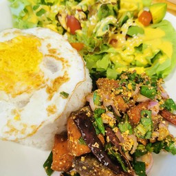 ข้าวหอมมะลิ+ลาบแซลมอน+สบัดผักอินทรีย์