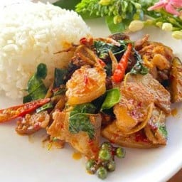 ผัดเผ็ดหมูป่าราดข้าว
