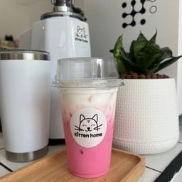 Kitten home (เจ็ดยอด)