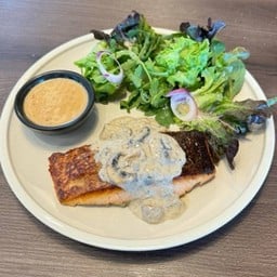 Salmon Cream Sauce