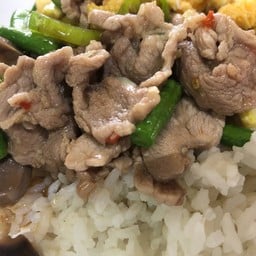 ตามสั่งเอก สาขา2