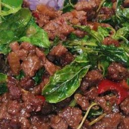 กระเพราเนื้อ ราดข้าว