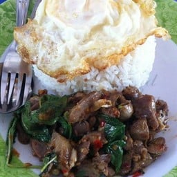 กระเพราเครื่องในไก่ราดข้าว
