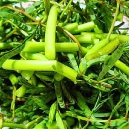 เพิ่มกระเฉด 40 กรัม