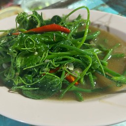 ผัดผักแม้วน้ำมันหอย