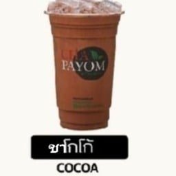 ชาโกโก้