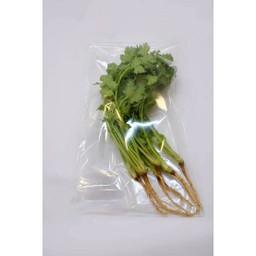 ผักชีไทยล้วน