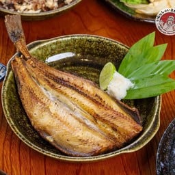 ปลาชิมะฮอกเกะย่าง (1ตัว)