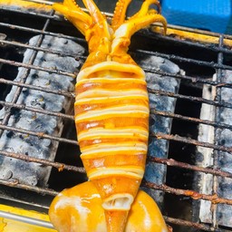 หมึกอาเจนมีไข่ (ไข่แท้)