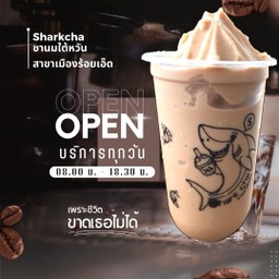 ชานมใต้หวันปั่น