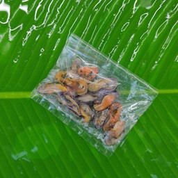 หอยแมลงภู่