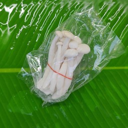 เห็ดชิเมจิ