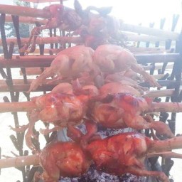 ร้านไก่หัน-เจ้าคุณปู่(กกยางใหญ่)