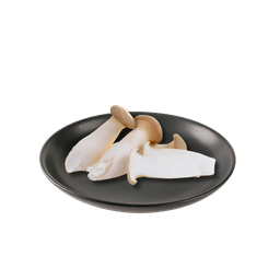 T13 เห็ดออรินจิ