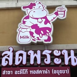 นมสดพระนคร อะมีโก้ ทอสคาน่า(อยุธยา) อะมีโก้ ทอสคาน่า(อยุธยา)