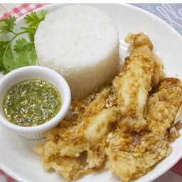 ไข่ปลาหมึก ราดข้าว