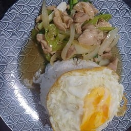 ไก่ผัดพริกหยวก