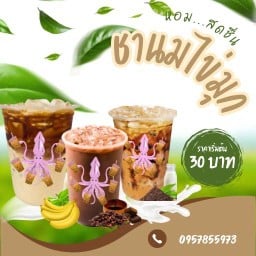 Octopus Cha (ออคโตปุส ชา) ฟรีไข่มุก สาขาไทรน้อย