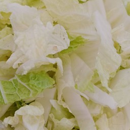 ผักกาดขาว