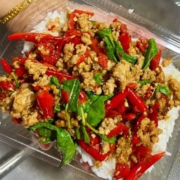 ข้าวกระเพราหมูสับพริกสด