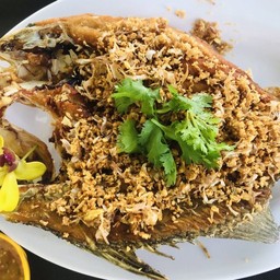 ปลากระพงทอดกระเทียม
