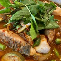 แกงป่าปลาแรด