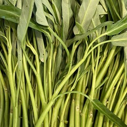 ผักบุ้ง