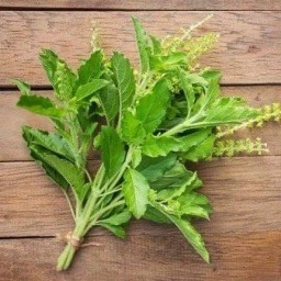 ยำสนธยา สาขา 1