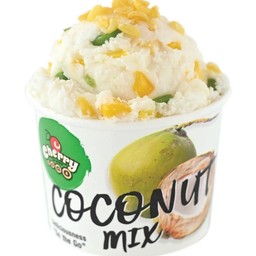Ice Cream (Mixed Coconut Milk)
