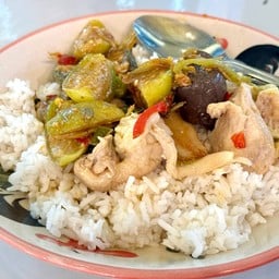 ข้าวแกง ล้าน ปุ๋ย รัฐสภา