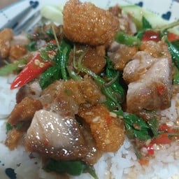 กะเพราแดง