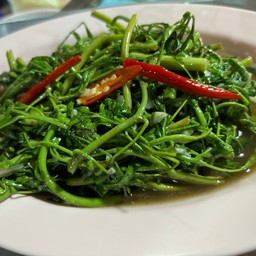กระเฉดผัดน้ำมันหอย