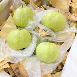 ฝรั่งจูชั่งกิโล (1 กก.)